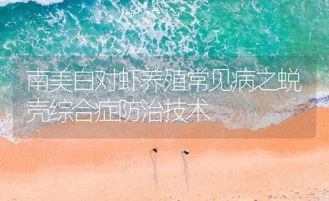 南美白对虾养殖常见病之蜕壳综合症防治技术 | 海水养殖