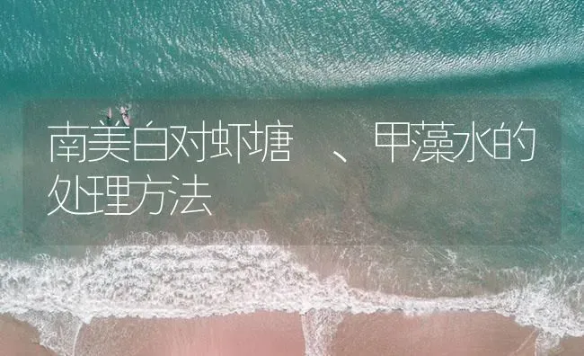 南美白对虾塘祼、甲藻水的处理方法 | 海水养殖