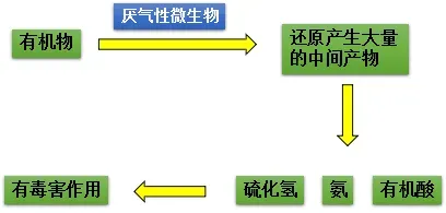 池塘溶氧介绍及预防泛池解决方案