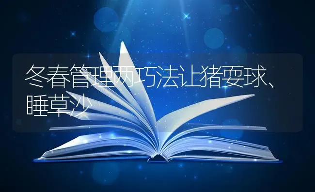 冬春管理两巧法让猪耍球、睡草沙 | 家畜养殖