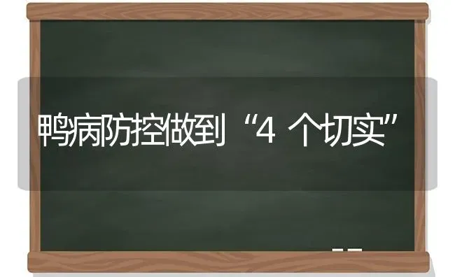 鸭病防控做到“4个切实” | 家禽养殖