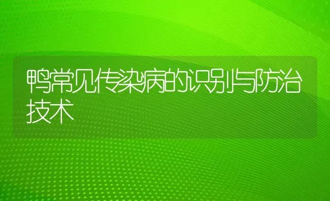 鸭常见传染病的识别与防治技术 | 家禽养殖