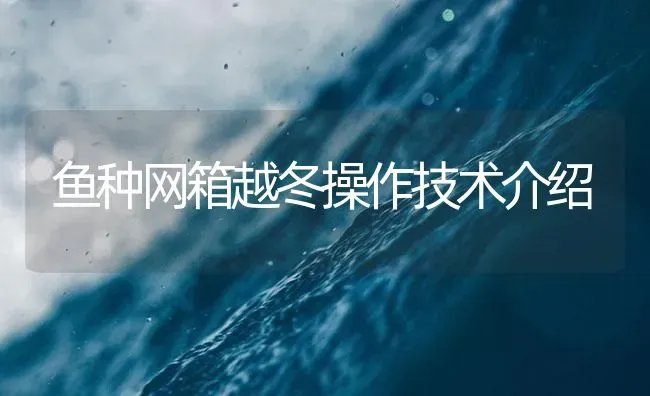 鱼种网箱越冬操作技术介绍 | 淡水养殖