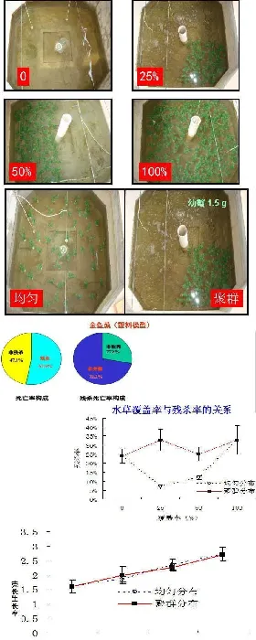 刘家寿老师PPT分享：河蟹生态养殖模式的研究