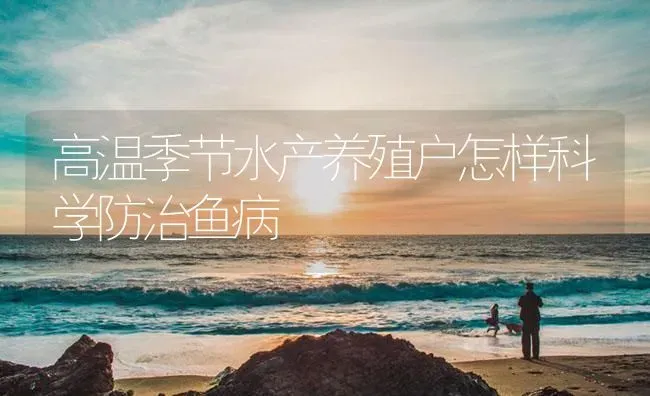 高温季节水产养殖户怎样科学防治鱼病 | 养殖病虫害防治