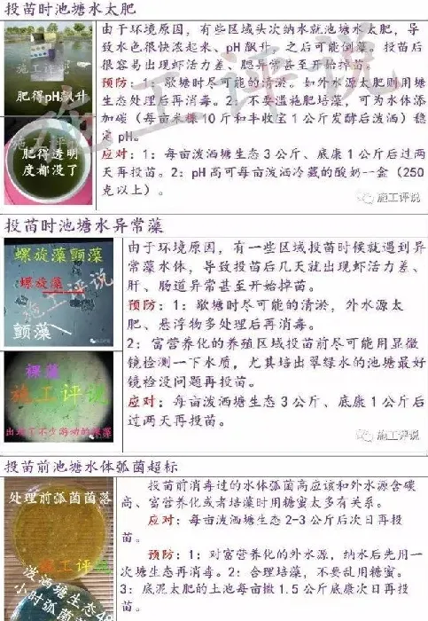 南美白对虾养殖户如何做正确选苗投苗？