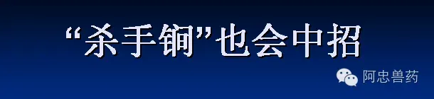 笋壳鱼养殖户如何造就三年不发病？