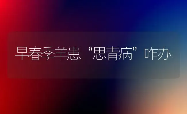 早春季羊患“思青病”咋办 | 家畜养殖