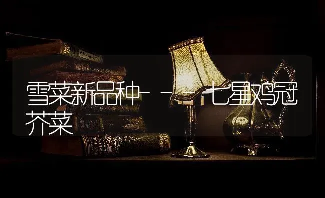 雪菜新品种---七星鸡冠芥菜 | 家禽养殖
