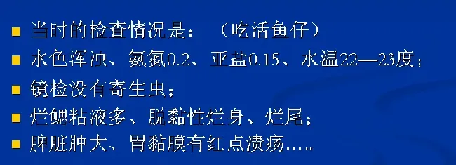 笋壳鱼养殖户如何造就三年不发病？