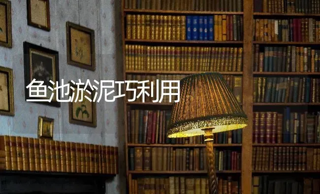 鱼池淤泥巧利用 | 淡水养殖