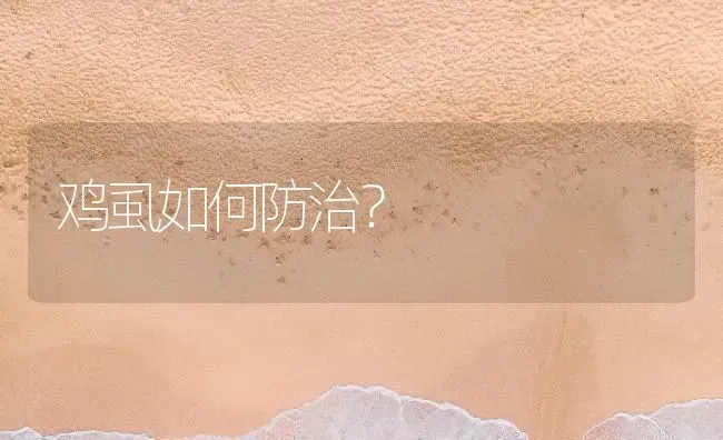 鸡虱如何防治？ | 家禽养殖