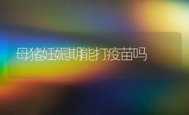 母猪妊娠期能打疫苗吗 | 家畜养殖