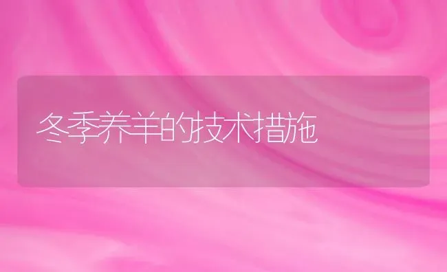冬季养羊的技术措施 | 家畜养殖