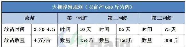 南美白对虾养殖模式百家争鸣，大棚养殖出路何在？
