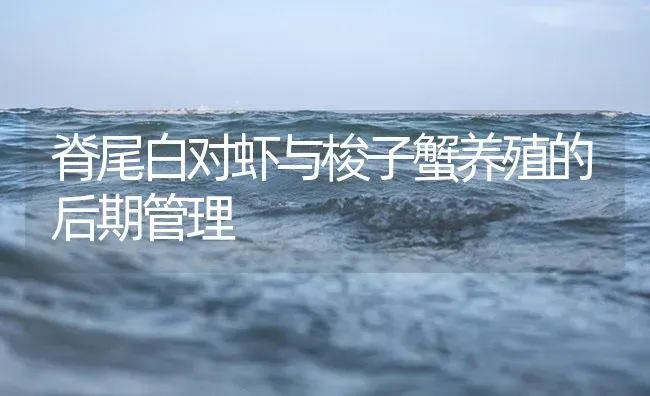 脊尾白对虾与梭子蟹养殖的后期管理 | 海水养殖