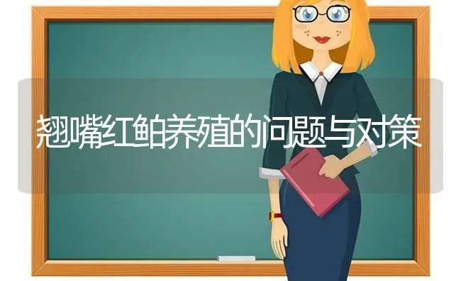 翘嘴红鲌养殖的问题与对策 | 动物养殖百科