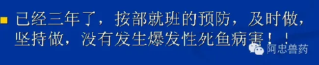 笋壳鱼养殖户如何造就三年不发病？