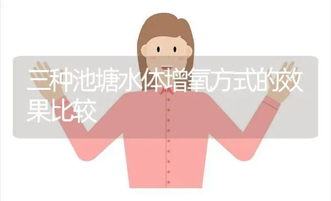 提高养鱼效益的五大技术措施 | 动物养殖百科