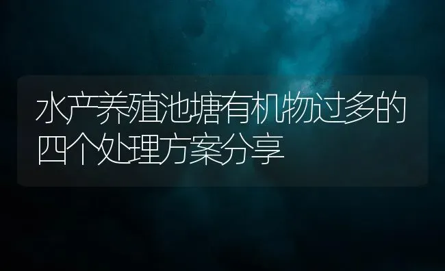 水产养殖池塘有机物过多的四个处理方案分享 | 动物养殖百科