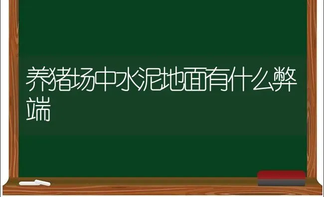 养猪场中水泥地面有什么弊端 | 家畜养殖