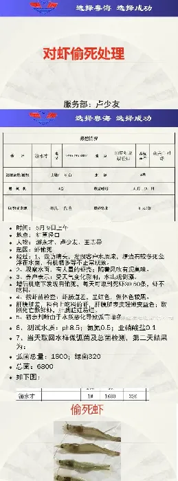 一例南美白对虾偷死的处理方法