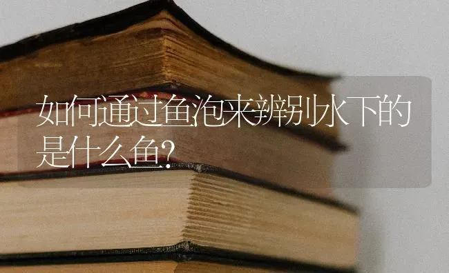 如何通过鱼泡来辨别水下的是什么鱼？ | 淡水养殖