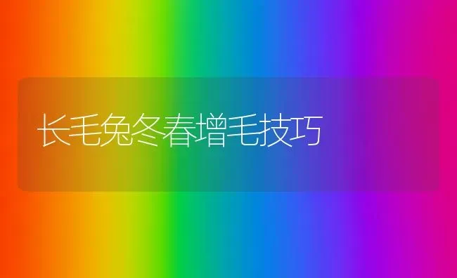 长毛兔冬春增毛技巧 | 家畜养殖