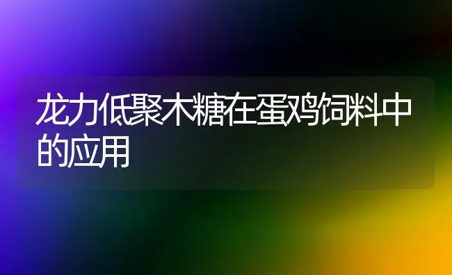 龙力低聚木糖在蛋鸡饲料中的应用 | 家禽养殖