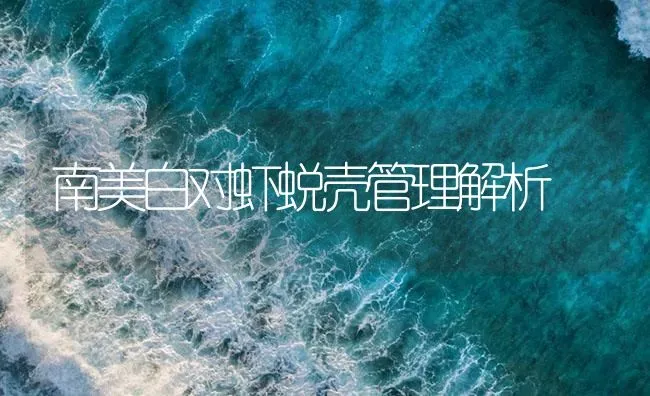 南美白对虾蜕壳管理解析 | 海水养殖