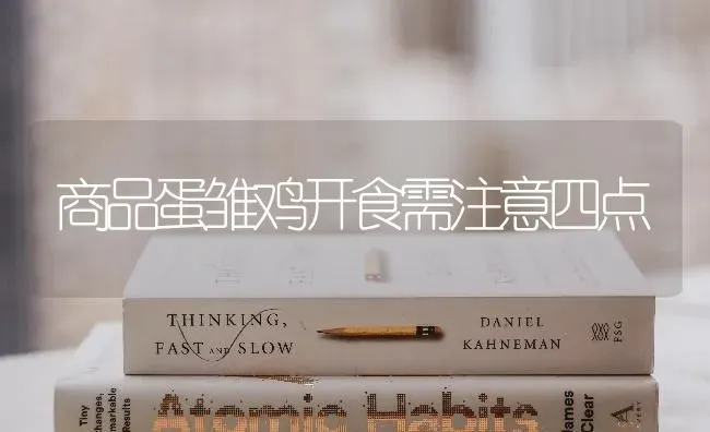 商品蛋雏鸡开食需注意四点 | 家禽养殖