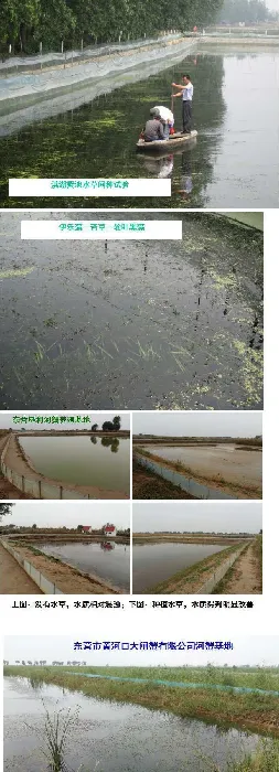 刘家寿老师PPT分享：河蟹生态养殖模式的研究