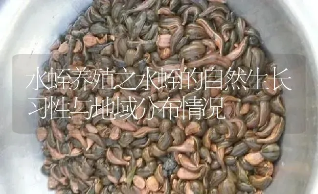 水蛭养殖之水蛭的自然生长习性与地域分布情况 | 特种养殖