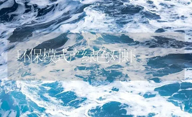 环保模式产绿色对虾 | 海水养殖