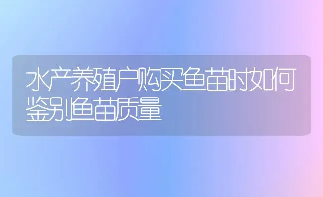 水产养殖户购买鱼苗时如何鉴别鱼苗质量 | 淡水养殖