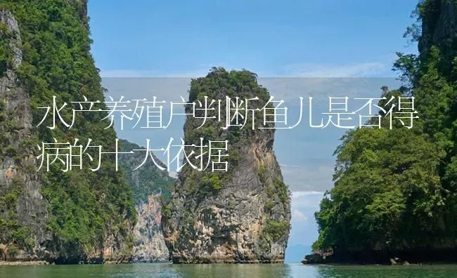 水产养殖户判断鱼儿是否得病的十大依据 | 养殖病虫害防治