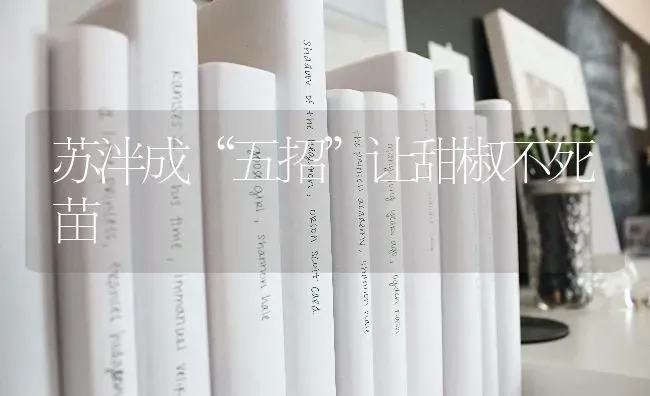 看皮毛咋辨猪病 | 家畜养殖