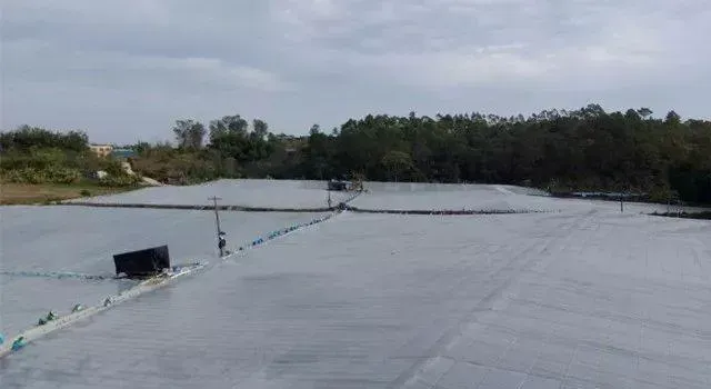 天寒地冻难不倒，冬棚对虾养殖做到这些发发发！