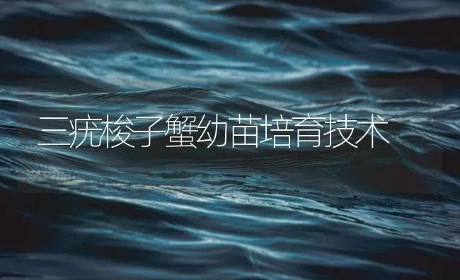 三疣梭子蟹幼苗培育技术 | 海水养殖