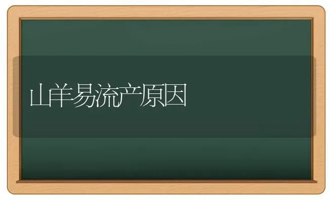 山羊易流产原因 | 家畜养殖