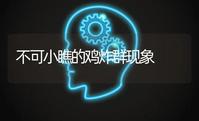 不可小瞧的鸡炸群现象 | 家禽养殖