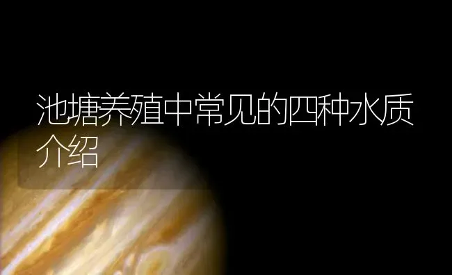 池塘养殖中常见的四种水质介绍 | 动物养殖百科