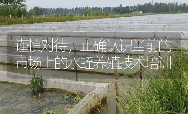 谨慎对待，正确认识当前的市场上的水蛭养殖技术培训 | 特种养殖