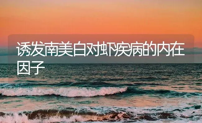 诱发南美白对虾疾病的内在因子 | 海水养殖