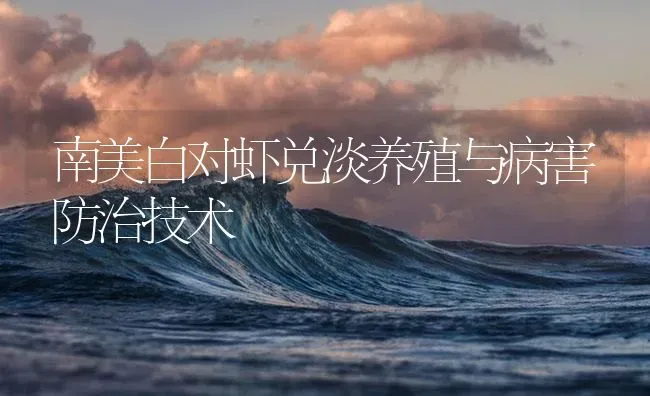 南美白对虾兑淡养殖与病害防治技术 | 海水养殖