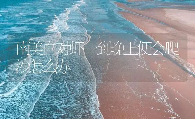 南美白对虾一到晚上便会爬沙怎么办 | 海水养殖