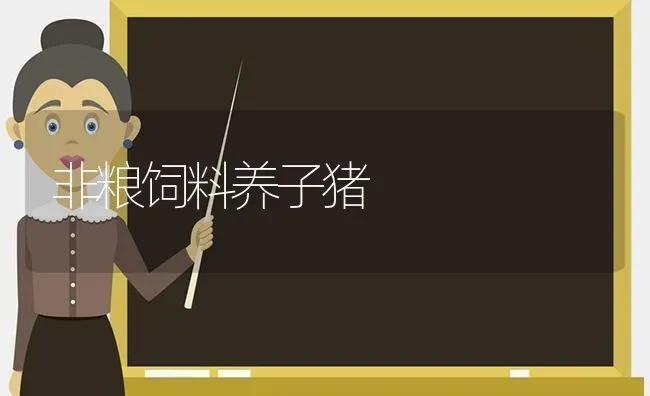 非粮饲料养子猪 | 家畜养殖