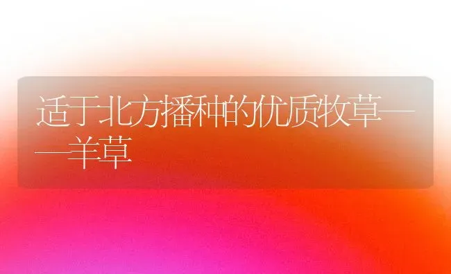 适于北方播种的优质牧草——羊草 | 家畜养殖