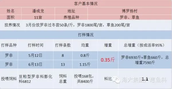 大规格罗非鱼养殖户不用愁，海大罗非料帮你避开链球菌病！