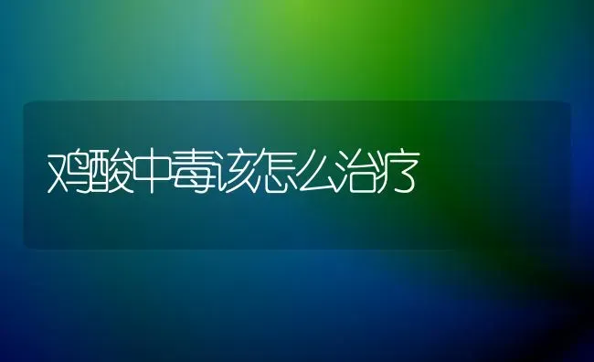 鸡酸中毒该怎么治疗 | 家禽养殖